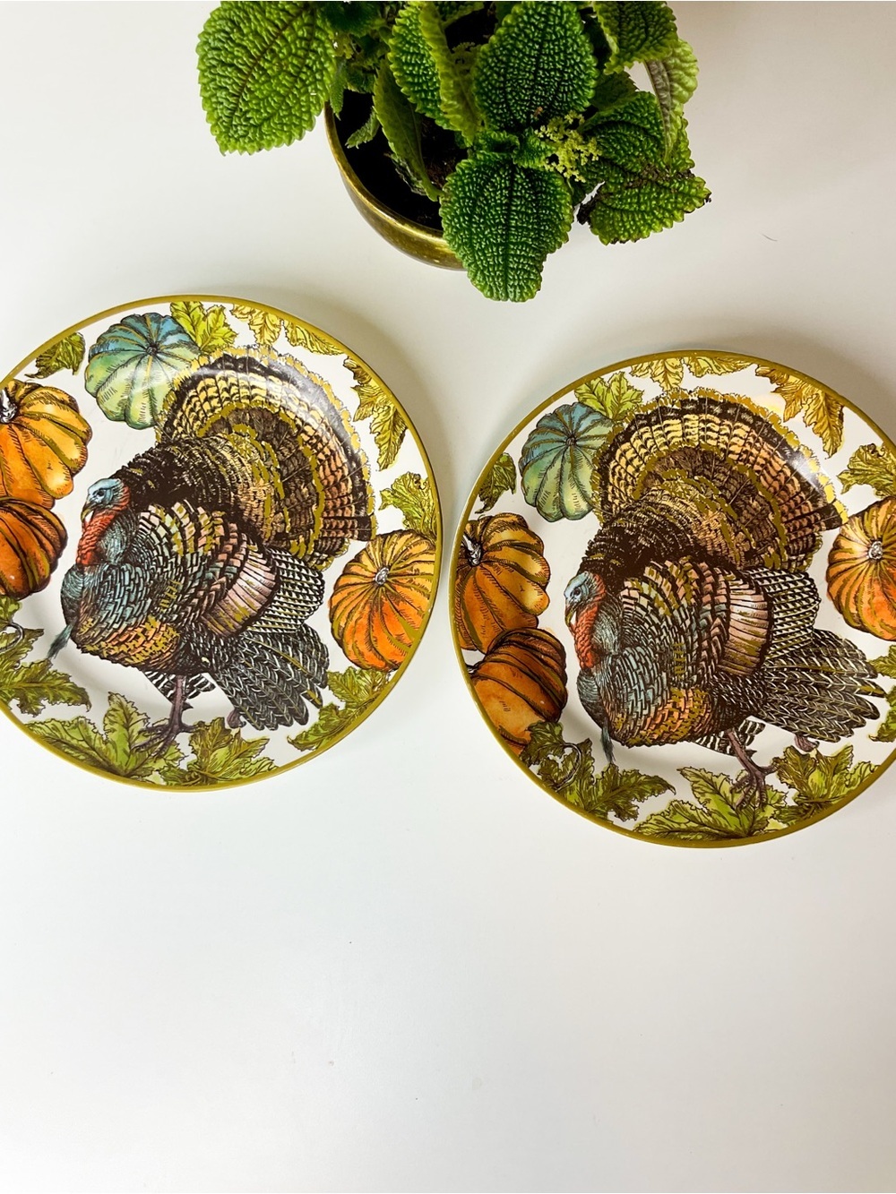 POTTERY BARN Turkey Dinner Plates - Autumn Harvest Stone Salad Plates